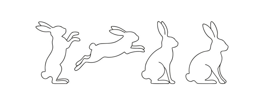 Rabbit Silhouettes Depicting Movement A Linear Illustration On A White Background rabbits hare hares bunny bunnies lepus lagomorph animal animals