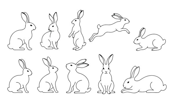 Collection Of Rabbit Silhouettes In Various Poses Black Line Art On White Background rabbits hare hares bunny bunnies lepus animal