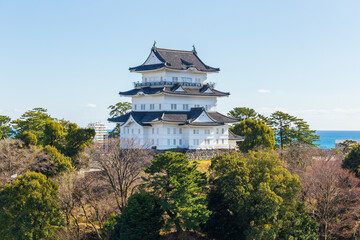 Fototapeta premium 日本の風景 神奈川 日本100名城 小田原城 天守