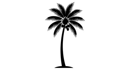 Palm tree silhouette against a white background tropical vegetation illustration © Masura