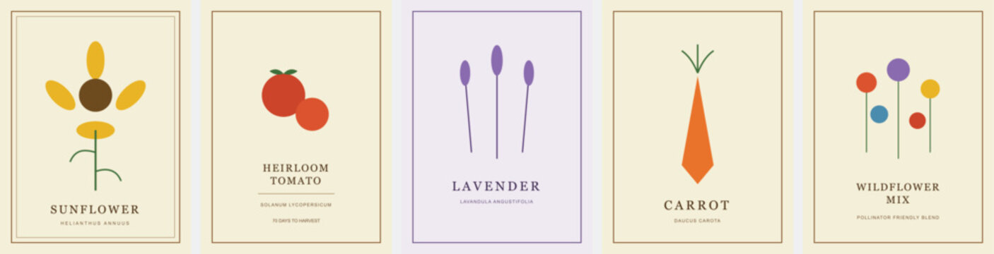 Minimalist botanical seed packet collection, vintage garden poster set with sunflower and lavender, geometric vegetable and flower illustrations