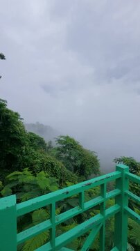 Scenic view of a lush tropical forest covered in dense morning fog, captured from a viewpoint overlooking the misty valley. The peaceful landscape features dramatic clouds, rich green vegetation, and 
