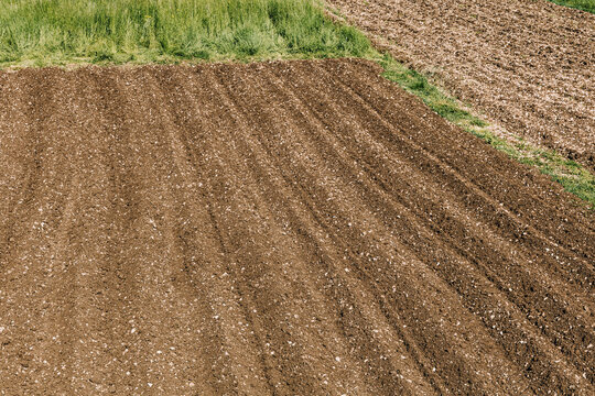 Ploughed field presenting brown soil and parallel furrows, green grass bordering agriculture land, symbolizing cultivation and farming
