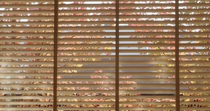 Sunlight streams through window blinds, revealing colorful autumn leaves outside. The warm light creates a cozy and inviting atmosphere. Perfect fall background for a peaceful and relaxing scene.