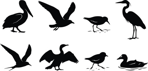 Fototapeta premium Set of eight black coastal and water bird silhouettes isolated on a white background