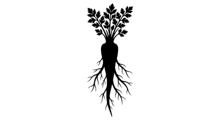 Parsley Silhouette On White Background Botanical Illustration © MstSuraiya