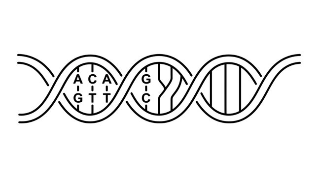 DNA Helix Structure with Genetic Code