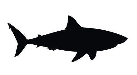 Fototapeta premium Shark Silhouette Against A White Background Black And White Illustration