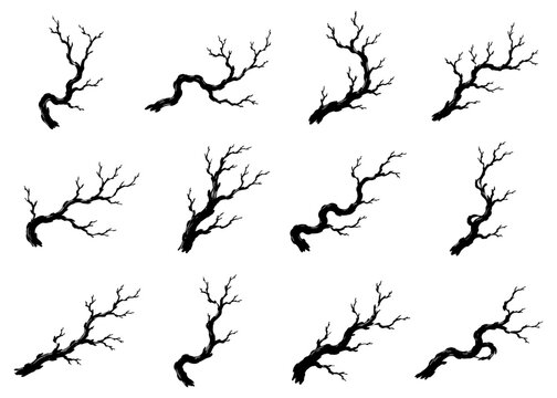 Bare branch silhouette set in black featuring twelve unique leafless tree limbs with twisted natural forms and intricate woodland details