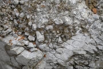 Fototapeta premium High-resolution close-up of a weathered concrete wall featuring exposed aggregate, rough stone fragments, and natural cracks.