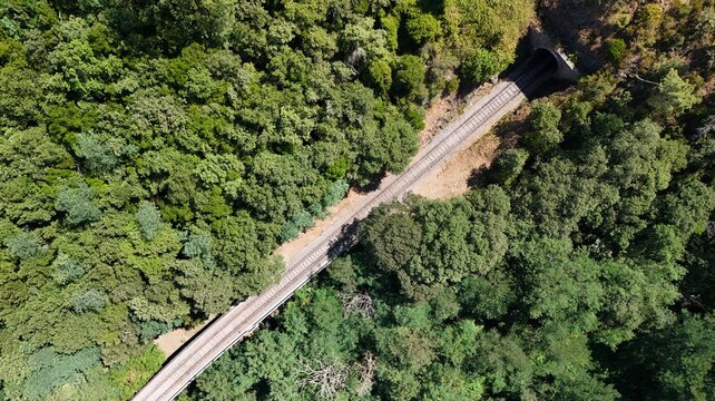 Aerial View of Railway Bridge and Tunnel Through Dense Forest in Southern France