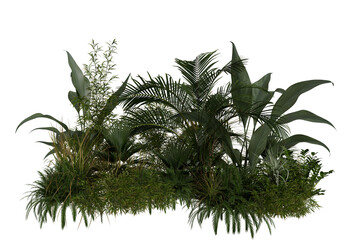 Obraz premium Lush tropical foliage and exotic rainforest plant arrangement