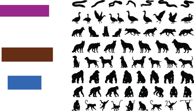 Collection of animal and primate silhouette vector icons with wildlife
