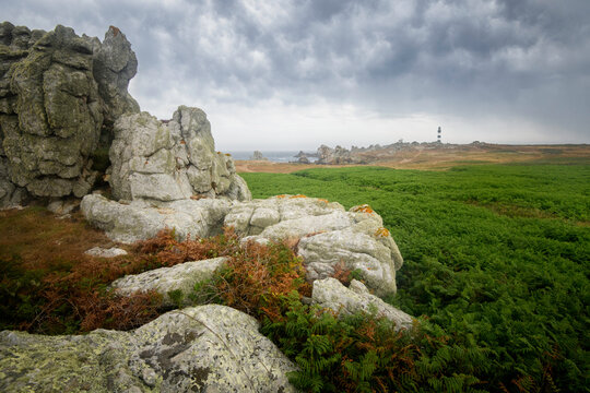 C&ocirc;te Ouest de l'&icirc;le d'Ouessant vers la pointe du Creac'h au milieu des foug&eacute;res et des rochers sous un ciel orageux, r&eacute;gion Bretagne, Finistere.
