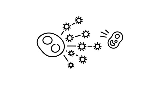 Cell Division and Reproduction: Microscopic Biological Process