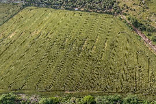 Aerial view highlighting fertile farmland with straight crop rows alongside a rural road, representing agricultural patterns and growth