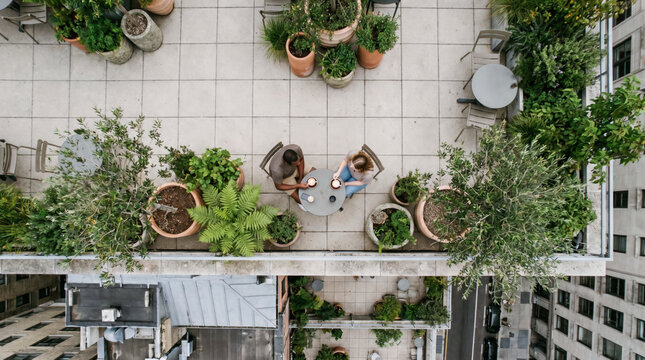 Overhead view of people relaxing at a lush rooftop garden cafe above the city