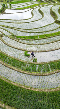 Aerial abstraction of vivid green rice terraces with a small working farmer