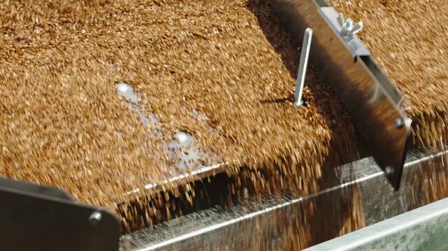 A close-up shot captures thousands of small brown seeds or flaxseeds cascading evenly over a vibrating metal separator tray.