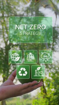 Net Zero Strategy Concept Animation with Green Moss Ball, Sustainability Icons Appearing Above Hand, Carbon Reduction, Renewable Energy, Climate Action, ESG Initiative and Corporate Decarbonization