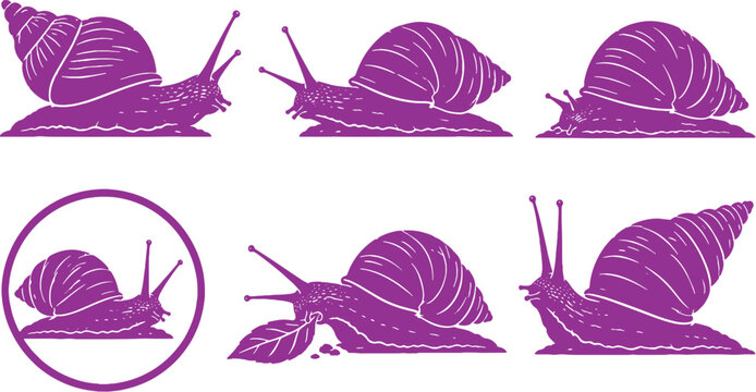 African Giant Snail Silhouette Icon Set Black Vector Land Mollusk Collection