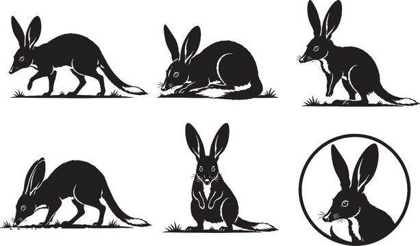 Bilby Silhouette Icon Set Black Vector Australian Marsupial Collection