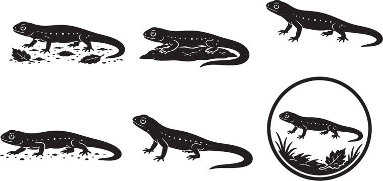 Eastern Newt Black Silhouette Icon Set Collection Vector Amphibian Wildlife