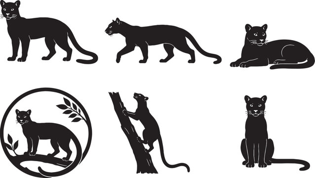 Fossa Silhouette Icon Set Black Vector Wildlife Collection for SVG EPS AI Stock Illustration