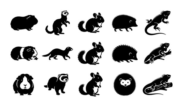 Exotic small pet icons set, 15 black silhouettes of guinea pig, ferret, chinchilla, hedgehog and iguana, minimalist animal vector graphics