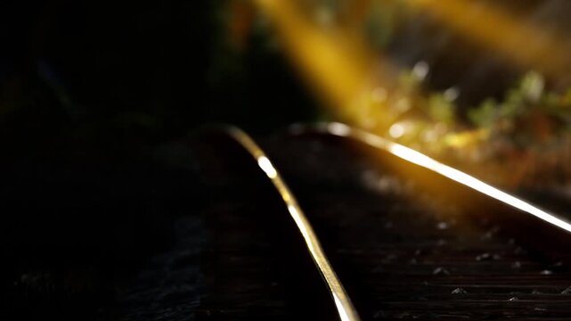 Railway tracks stretch into the distance under soft light. The scene shows the tracks glistening and the surrounding area in shadow. Night is approaching and nature is quiet.