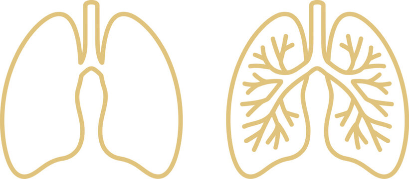 Human lungs icon set vector illustration of respiratory system anatomy with bronchial tree structure isolated on a plain background design.