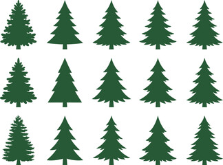 Obraz premium Pattern of uniform green evergreen tree silhouettes in rows