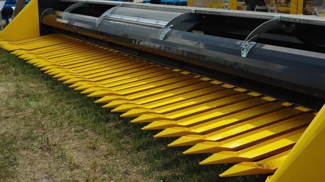 A close-up shot shows the long, bright yellow row lifters or snouts of a modern agricultural sunflower harvesting header.