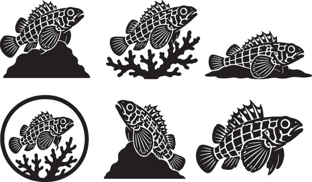 Geometric Pygmy Hawkfish Silhouette Icon Set Black Vector Reef Fish Collection