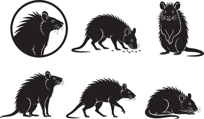 Maned Rat Silhouette Icon Set African Rodent Black Vector Collection © Pham
