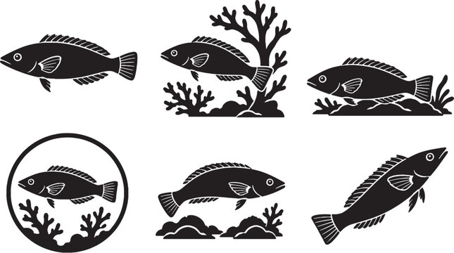 Possum Wrasse Silhouette Icon Set Black Vector Reef Aquarium Fish Collection