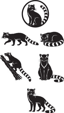 Ring Tailed Vontsira Black Silhouette Icon Set Malagasy Carnivore Vector Illustration