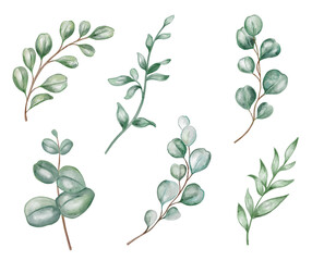 Watercolor eucalyptus leaves clipart set hand painted sage green branches and foliage botanical wedding illustration isolated on white background © Yuliia