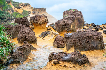 Fototapeta premium Scenic close-up view of hoodoo stones rock formation in Yehliu geopark in New Taipei Taiwan