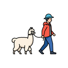 Fototapeta premium Man walking white alpaca on leash outdoors.