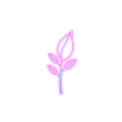 Obraz premium Glowing neon plant branch with pink leaves isolated on white background