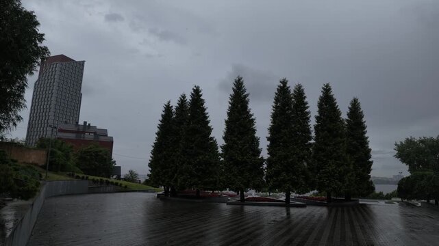 Camera pan right of a modern skyscraper and tall green cypress trees in a city park during rain. Wet pavement with reflections, overcast dark sky, river background. Moody summer day.
