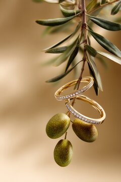 Elegant ring advertisement, featuring two simple gold rings with lab grown diamonds. A delicate olive branch hangs from below, mediterranean style.