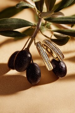 Elegant ring advertisement, featuring two simple gold rings with lab grown diamonds. A delicate olive branch hangs from below, mediterranean style.