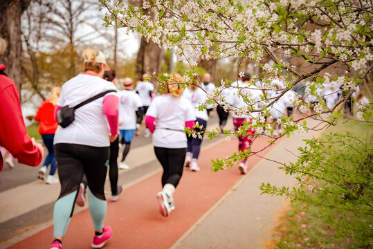 Group of People Running in a Park During Springtime Fitness Event