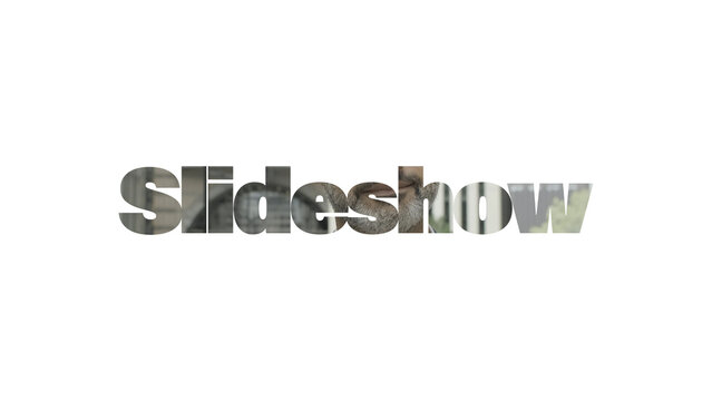 Slideshow Opener | Animated Photo or Video Gallery Template