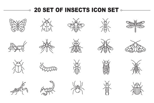 Insects bug web line icons set spotted ladybug beetle praying mantis insect honey bee hive jumping grasshopper pest crawling centipede bug stinging wasp hornet & more vector