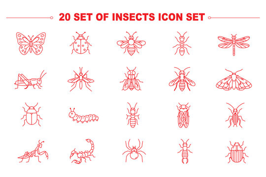 Insects bug web line icons set spotted ladybug beetle praying mantis insect honey bee hive jumping grasshopper pest crawling centipede bug stinging wasp hornet & more vector