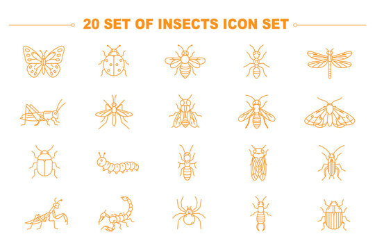 Insects bug web line icons set spotted ladybug beetle praying mantis insect honey bee hive jumping grasshopper pest crawling centipede bug stinging wasp hornet & more vector