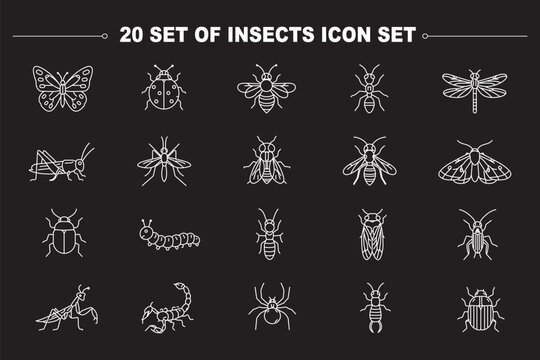 Insects bug web line icons set spotted ladybug beetle praying mantis insect honey bee hive jumping grasshopper pest crawling centipede bug stinging wasp hornet & more vector